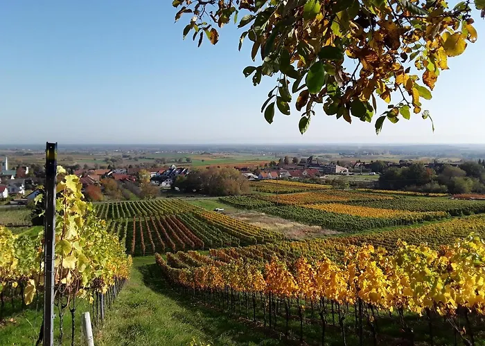 아파트 Kerst Am Weintor *