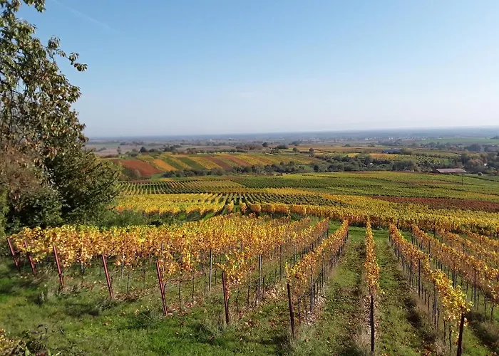 아파트 Kerst Am Weintor *