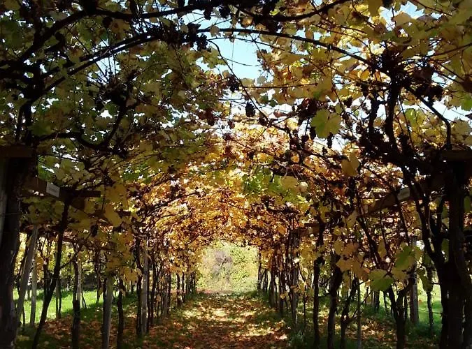 아파트 Kerst Am Weintor