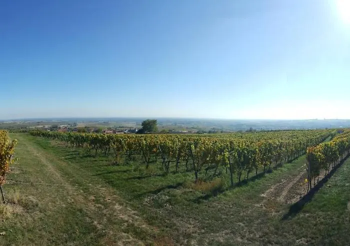 아파트 Kerst Am Weintor